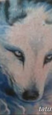 фото тату белый волк от 07.02.2018 №069 — white wolf tattoo — tatufoto.com