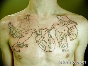Фото тату двух голубей, держащих сердце, на груди. Черно-белый рисунок татуировки, выполненный в стиле графика.