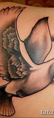 фото тату голубки от 02.02.2018 №017 — tattoo of the dove — tatufoto.com