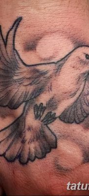 фото тату голубки от 02.02.2018 №022 — tattoo of the dove — tatufoto.com