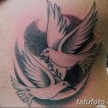 фото тату голубки от 02.02.2018 №026 - tattoo of the dove - tatufoto.com