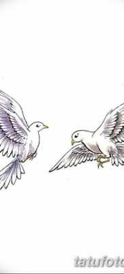 фото тату голубки от 02.02.2018 №029 — tattoo of the dove — tatufoto.com