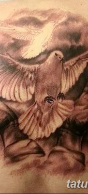 фото тату голубки от 02.02.2018 №030 — tattoo of the dove — tatufoto.com