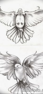 фото тату голубки от 02.02.2018 №042 — tattoo of the dove — tatufoto.com