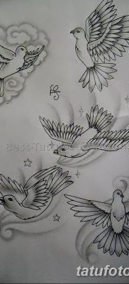 фото тату голубки от 02.02.2018 №043 — tattoo of the dove — tatufoto.com 26234