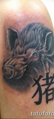 фото тату кабан от 12.02.2018 №005 — tattoo boar — tatufoto.com