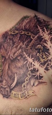 фото тату кабан от 12.02.2018 №018 — tattoo boar — tatufoto.com