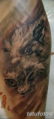 фото тату кабан от 12.02.2018 №018 — tattoo boar — tatufoto.com 26234234
