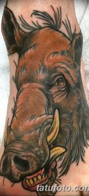 фото тату кабан от 12.02.2018 №021 — tattoo boar — tatufoto.com