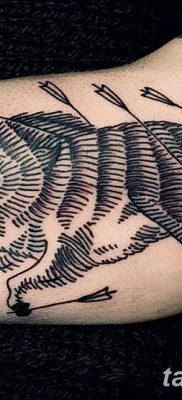 фото тату кабан от 12.02.2018 №031 — tattoo boar — tatufoto.com