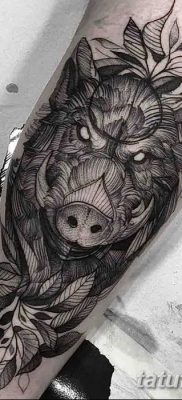 фото тату кабан от 12.02.2018 №033 — tattoo boar — tatufoto.com
