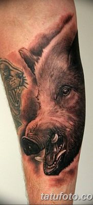 фото тату кабан от 12.02.2018 №068 — tattoo boar — tatufoto.com