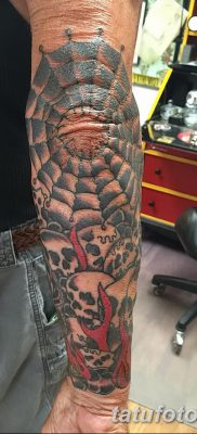 фото тату паутина на локте от 06.02.2018 №021 — tattoo spider web on elbow — tatufoto.com