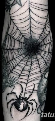 фото тату паутина на локте от 06.02.2018 №027 — tattoo spider web on elbow — tatufoto.com