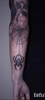 фото тату паутина на локте от 06.02.2018 №030 — tattoo spider web on elbow — tatufoto.com
