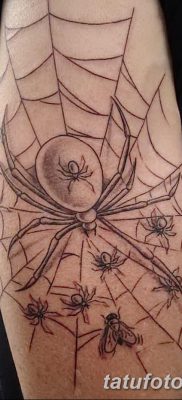 фото тату паутина на локте от 06.02.2018 №036 — tattoo spider web on elbow — tatufoto.com