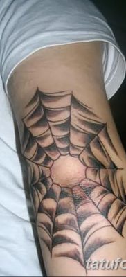 фото тату паутина на локте от 06.02.2018 №046 — tattoo spider web on elbow — tatufoto.com