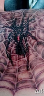 фото тату паутина на локте от 06.02.2018 №051 — tattoo spider web on elbow — tatufoto.com