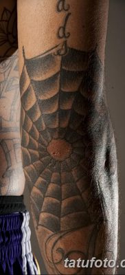 фото тату паутина на локте от 06.02.2018 №059 — tattoo spider web on elbow — tatufoto.com 26234