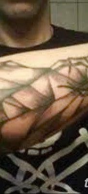 фото тату паутина на локте от 06.02.2018 №062 — tattoo spider web on elbow — tatufoto.com