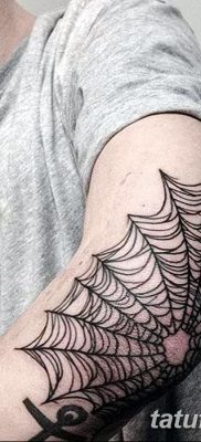 фото тату паутина на локте от 06.02.2018 №073 — tattoo spider web on elbow — tatufoto.com