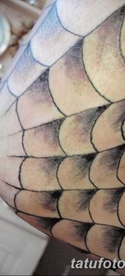 фото тату паутина на локте от 06.02.2018 №074 — tattoo spider web on elbow — tatufoto.com