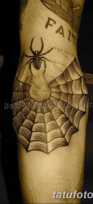 фото тату паутина на локте от 06.02.2018 №087 — tattoo spider web on elbow — tatufoto.com 26234