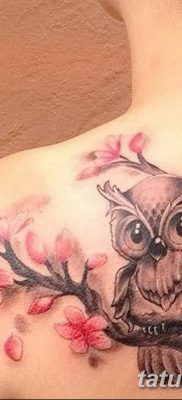 фото тату сова для девушек от 19.02.2018 №015 — owl tattoo for girls — tatufoto.com