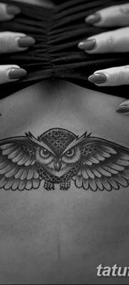 фото тату сова для девушек от 19.02.2018 №017 — owl tattoo for girls — tatufoto.com