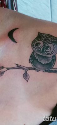 фото тату сова для девушек от 19.02.2018 №038 — owl tattoo for girls — tatufoto.com