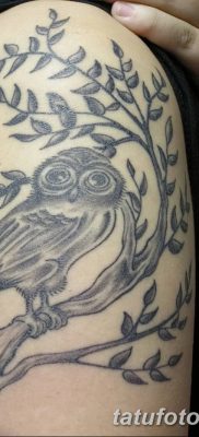 фото тату сова для девушек от 19.02.2018 №049 — owl tattoo for girls — tatufoto.com