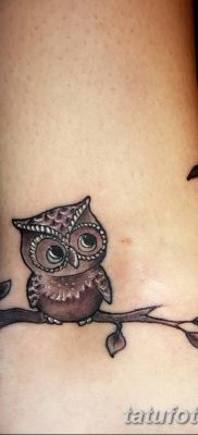 фото тату сова для девушек от 19.02.2018 №055 — owl tattoo for girls — tatufoto.com