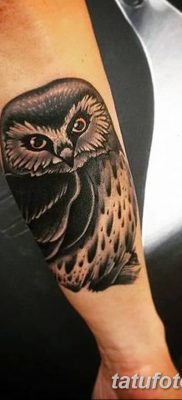 фото тату сова для девушек от 19.02.2018 №063 — owl tattoo for girls — tatufoto.com