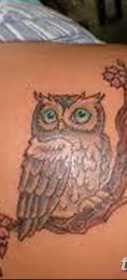 фото тату сова для девушек от 19.02.2018 №081 — owl tattoo for girls — tatufoto.com