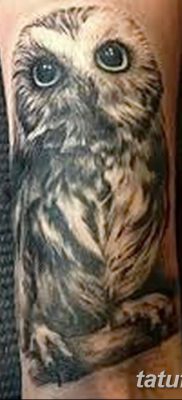 фото тату сова для девушек от 19.02.2018 №084 — owl tattoo for girls — tatufoto.com
