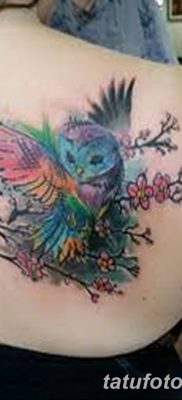 фото тату сова для девушек от 19.02.2018 №086 — owl tattoo for girls — tatufoto.com