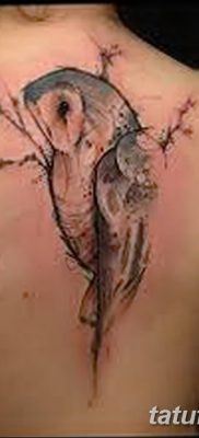 фото тату сова для девушек от 19.02.2018 №087 — owl tattoo for girls — tatufoto.com
