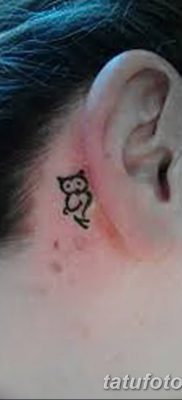 фото тату сова для девушек от 19.02.2018 №090 — owl tattoo for girls — tatufoto.com