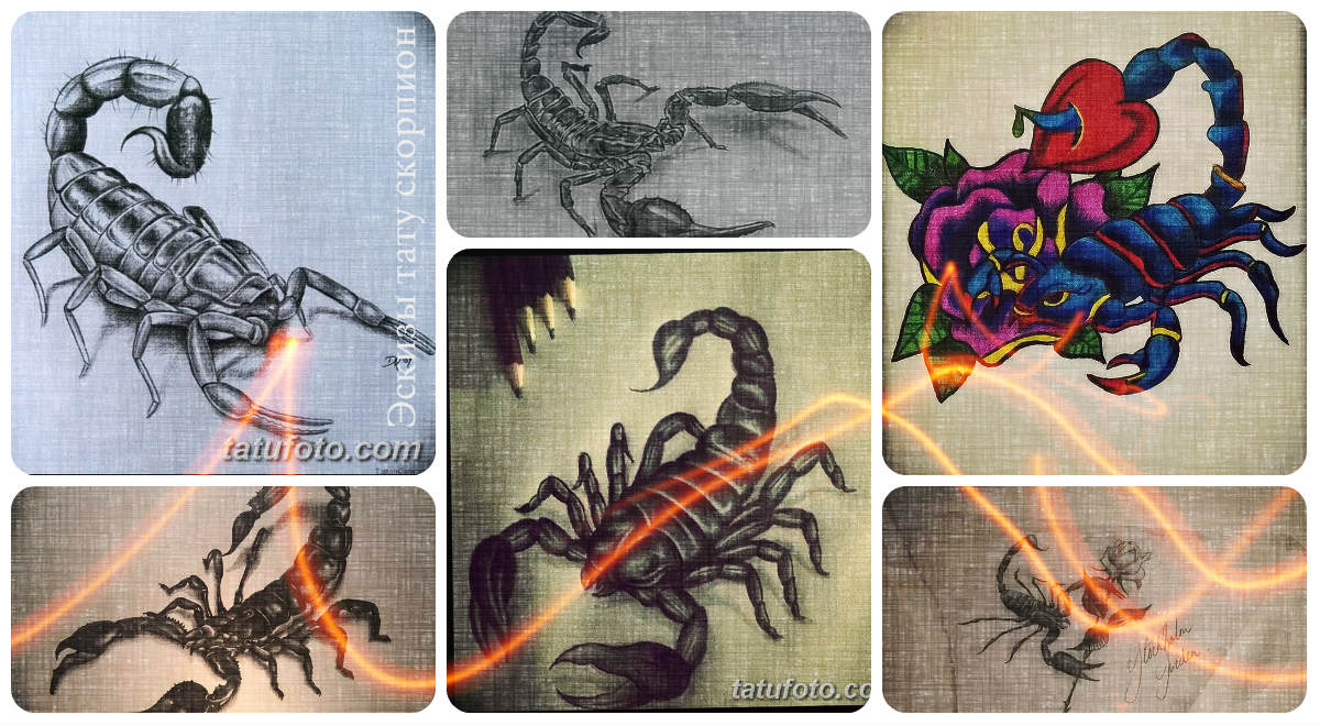 Эскизы тату скорпион - оригинальные варианты рисунков для татуировки