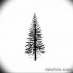 фото Эскизы тату ель от 23.04.2018 №001 - Sketches of a tattoo spruce - tatufoto.com