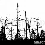 фото Эскизы тату ель от 23.04.2018 №035 - Sketches of a tattoo spruce - tatufoto.com