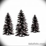 фото Эскизы тату ель от 23.04.2018 №048 - Sketches of a tattoo spruce - tatufoto.com