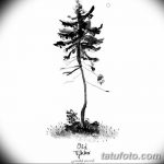 фото Эскизы тату ель от 23.04.2018 №055 - Sketches of a tattoo spruce - tatufoto.com