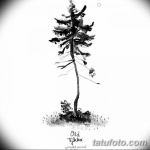 Черно-белое фото тату эскиза с изображением одинокой старой сосны на фоне травы. Рисунок выполнен в технике акварели, с размытыми контурами и мягкими переходами.