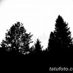 фото Эскизы тату ель от 23.04.2018 №068 - Sketches of a tattoo spruce - tatufoto.com