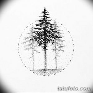 Фотография эскиза татуировки с изображением трех елей, расположенных в круге. Рисунок выполнен в технике графики и имеет легкий, воздушный вид.