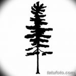 фото Эскизы тату ель от 23.04.2018 №081 - Sketches of a tattoo spruce - tatufoto.com