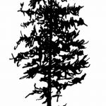 фото Эскизы тату ель от 23.04.2018 №082 - Sketches of a tattoo spruce - tatufoto.com