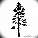 фото Эскизы тату ель от 23.04.2018 №083 - Sketches of a tattoo spruce - tatufoto.com