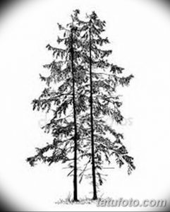 Черно-белый эскиз татуировки с изображением трех елей, выполненный в графическом стиле. Идеально для любителей природы и минимализма.